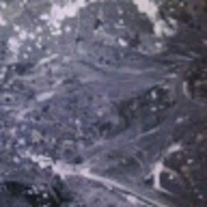 Meet your Posher, Darla